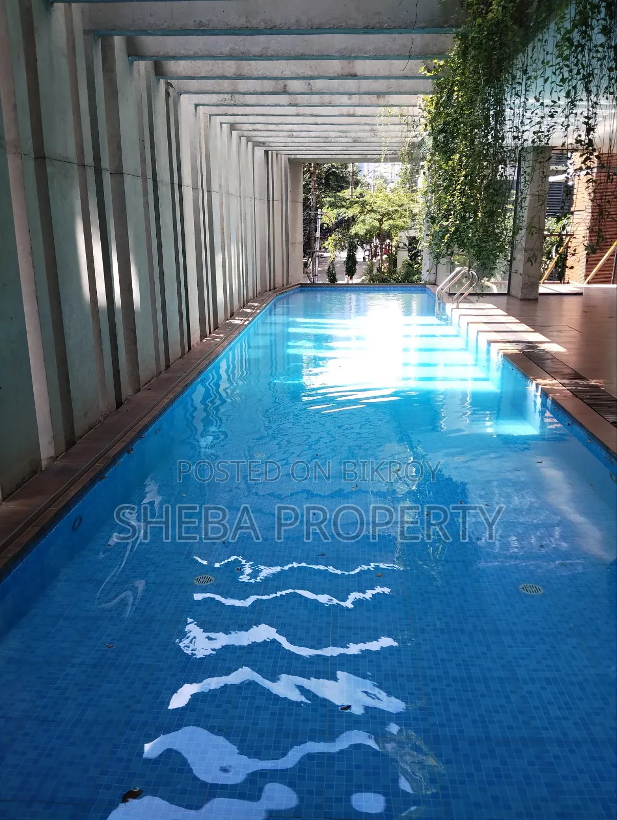 Furnished 4bdrm Apartment in Urban, Gulshan for rent in Gulshan