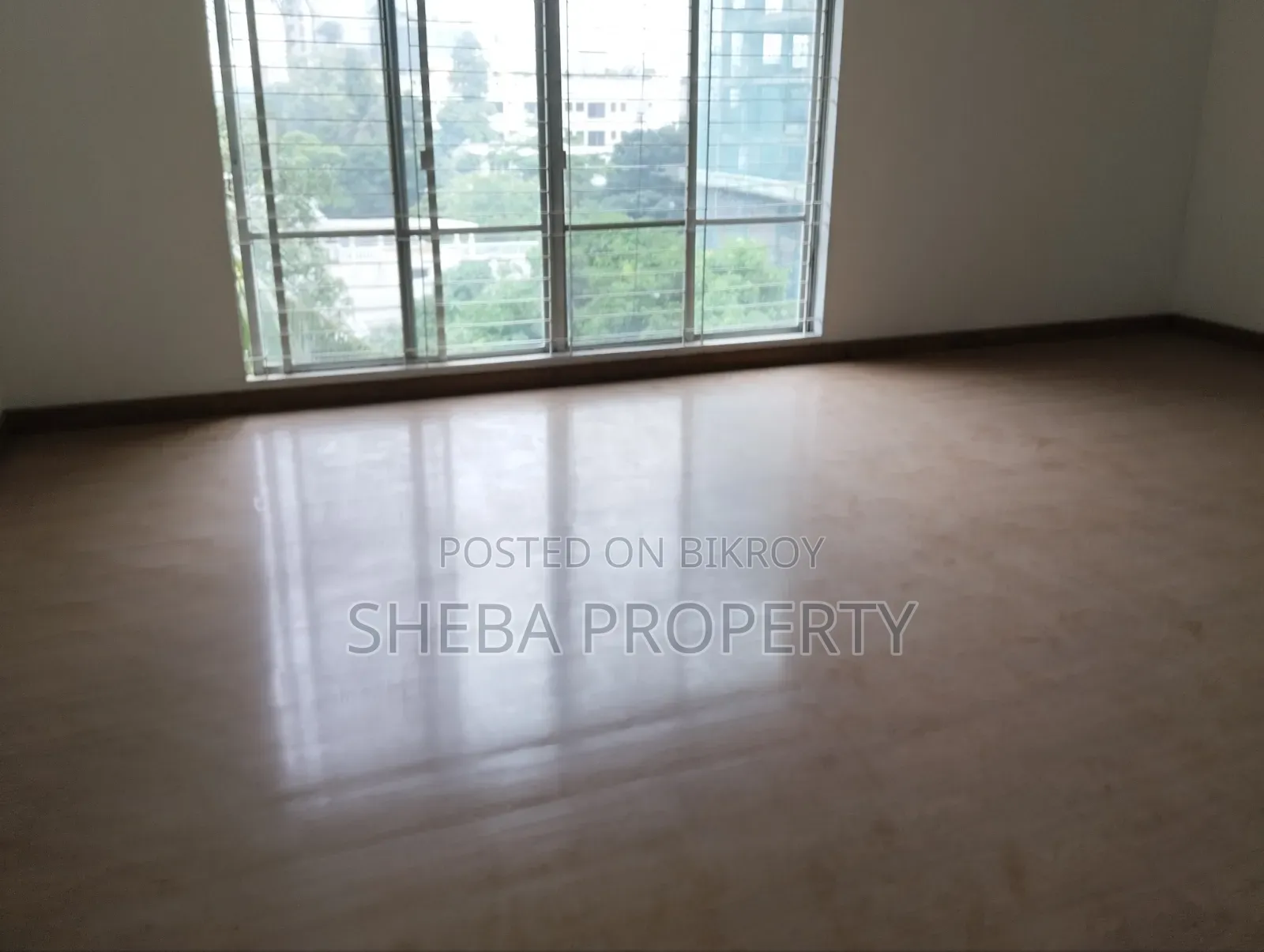 Furnished 4bdrm Apartment in Advance, Gulshan for rent in Gulshan