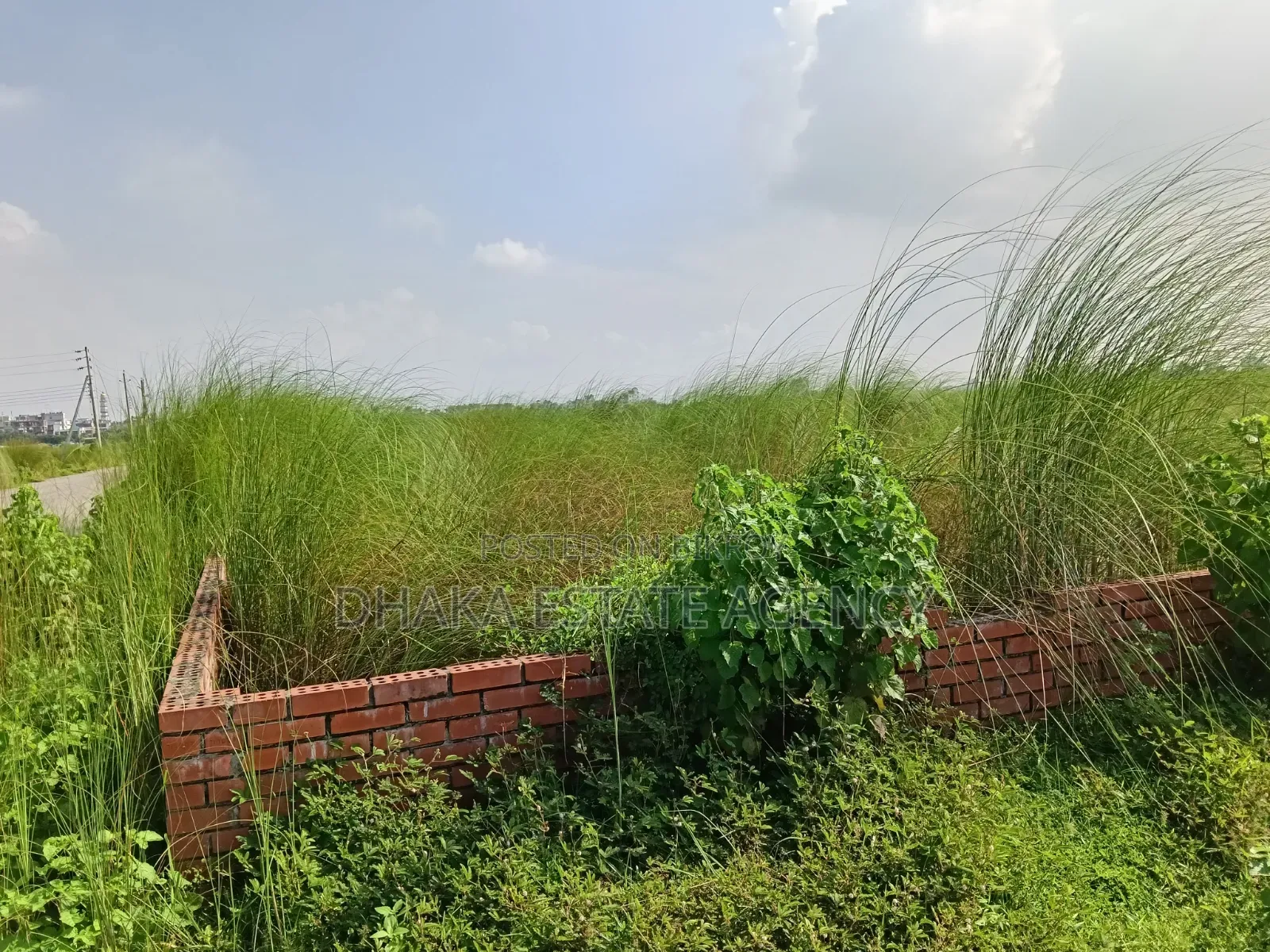 Block-M, Lake View South Facing Plot Sale in Basundhara