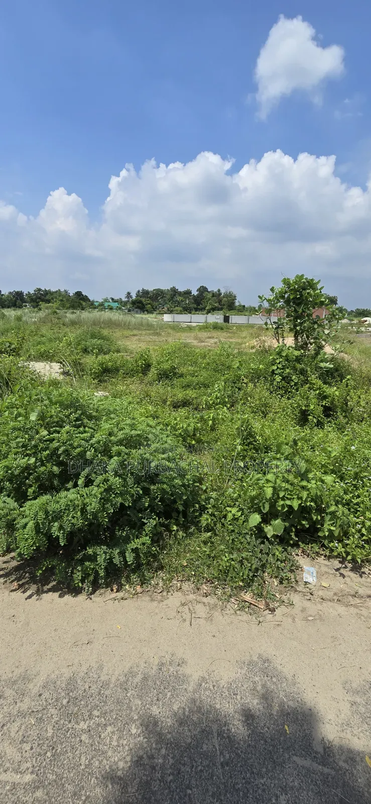 পূর্বাচুল সেক্টর -১৫ দক্ষিণ মুখী ৬ কাঠা প্লট বিক্রি করা হবে in Purbachal