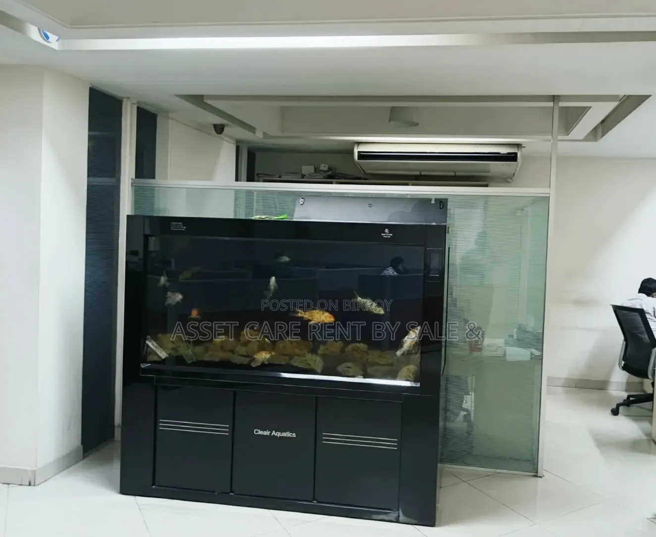 Gulshan 1Avenue Commercial Speech Rent in Gulshan