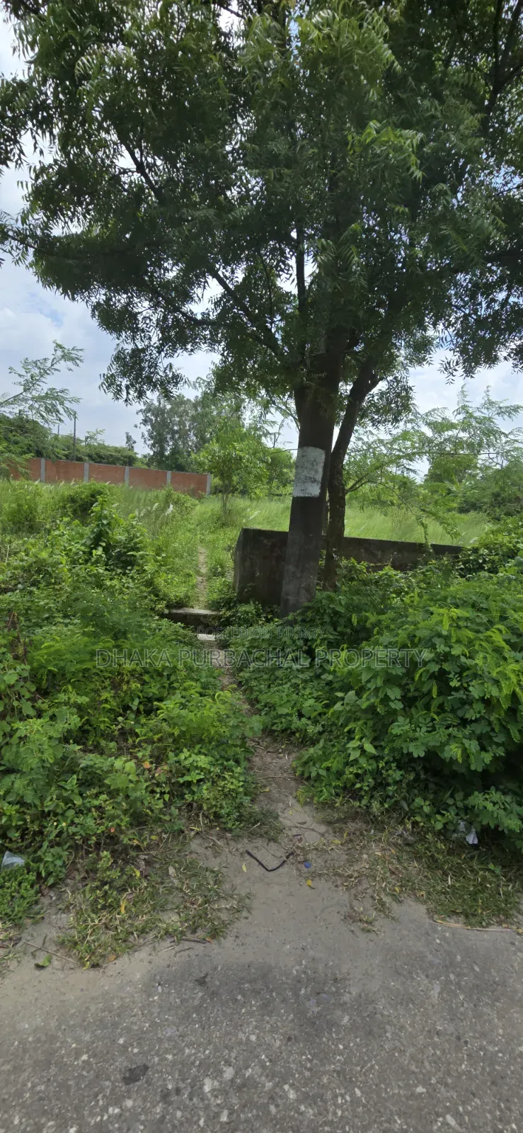 Rajuk Purbachal 3 Katha Government Service Plot in Purbachal