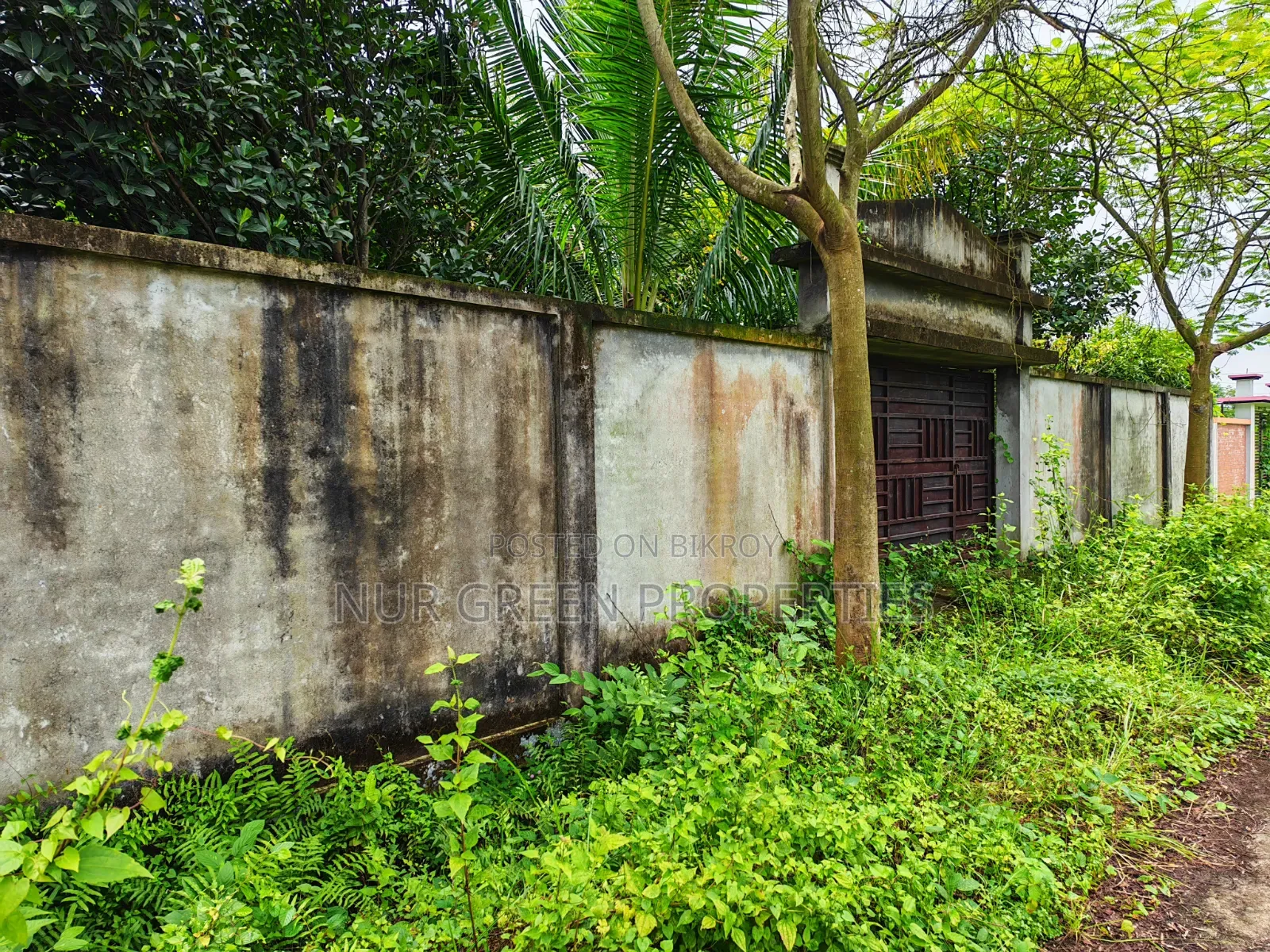 ৫ কাঠা দক্ষিণ পূর্ব কনার প্লট বিক্রি করা হবে in Purbachal