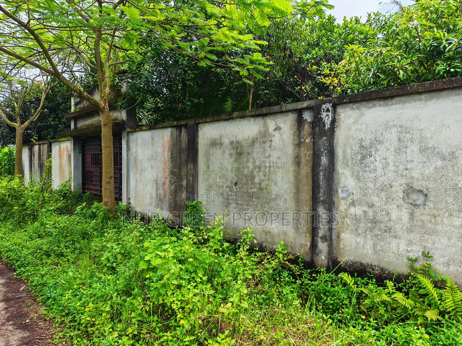 ৫ কাঠা দক্ষিণ পূর্ব কনার প্লট বিক্রি করা হবে in Purbachal