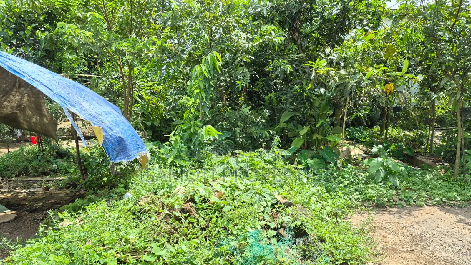 Good Location 3 Katha Plot for Sale Purbachal Sec 10 in Purbachal
