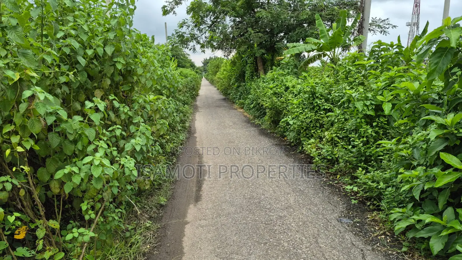 75 Feet Road South Face Purbachal Sec 20 in Purbachal