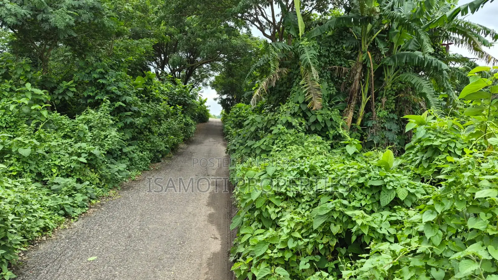75 Feet Road South Face Purbachal Sec 20 in Purbachal