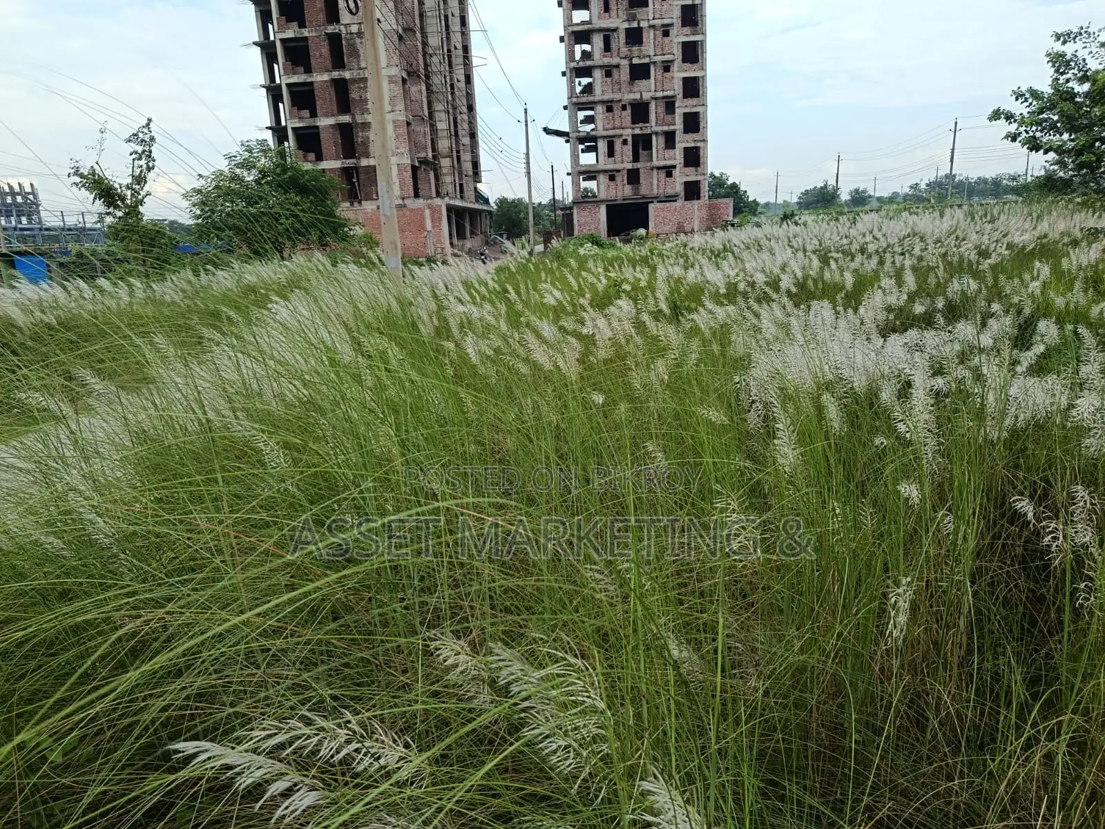 Land for Sale St Bashundhara R/A. in Basundhara