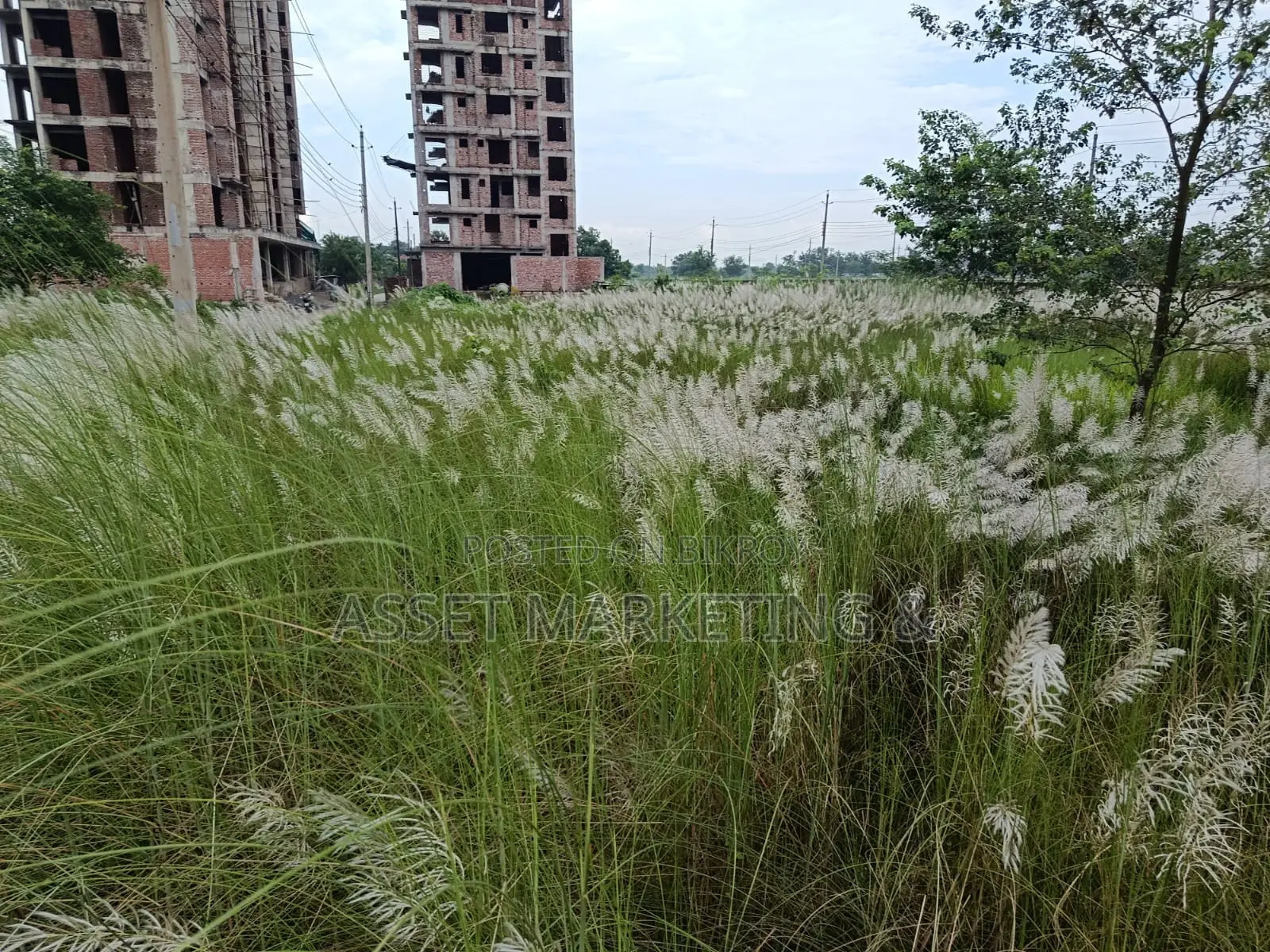 Land for Sale St Bashundhara R/A. in Basundhara
