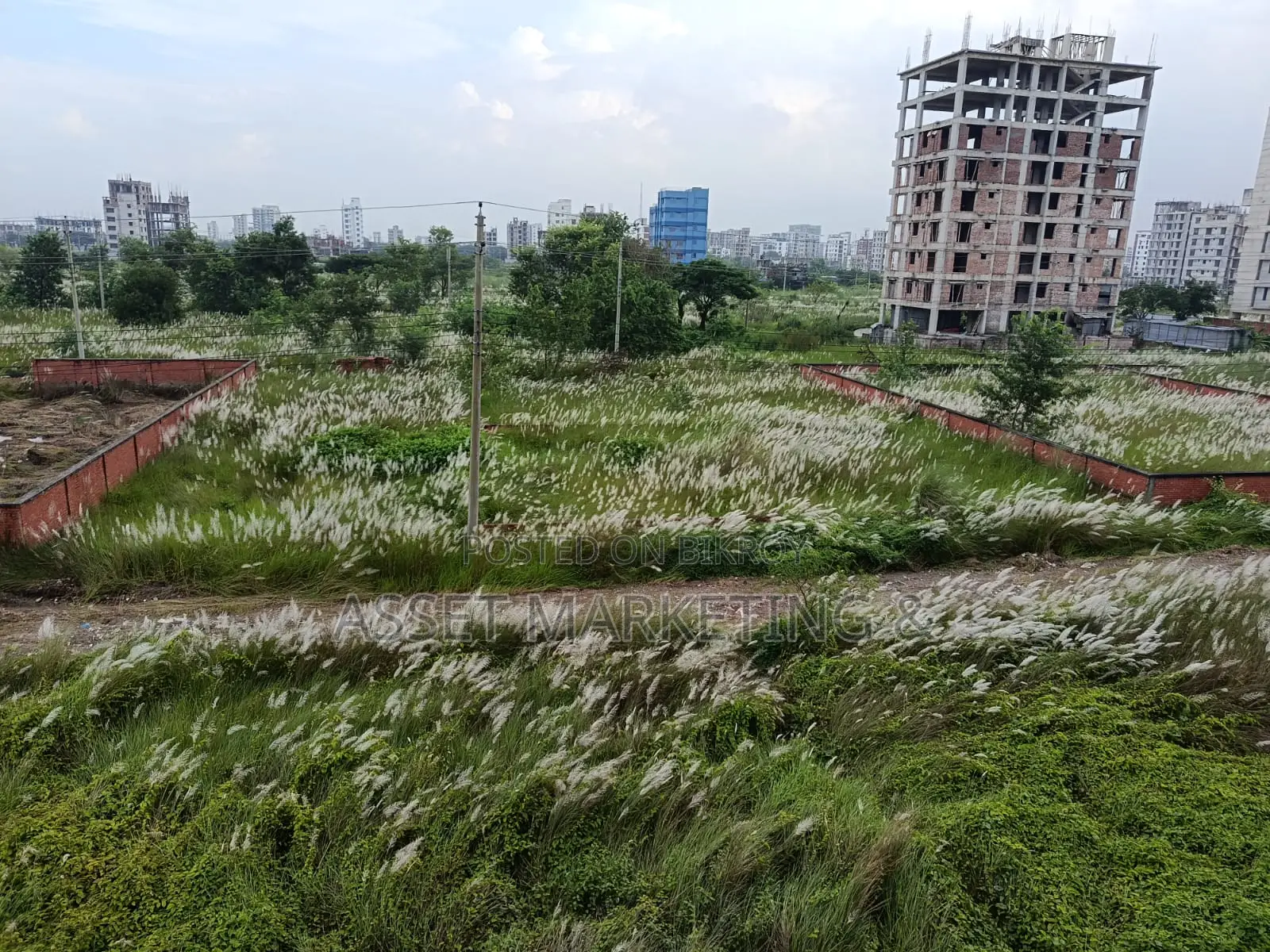 3-Katha Plot for Sale – Bashundhara L Block in Basundhara