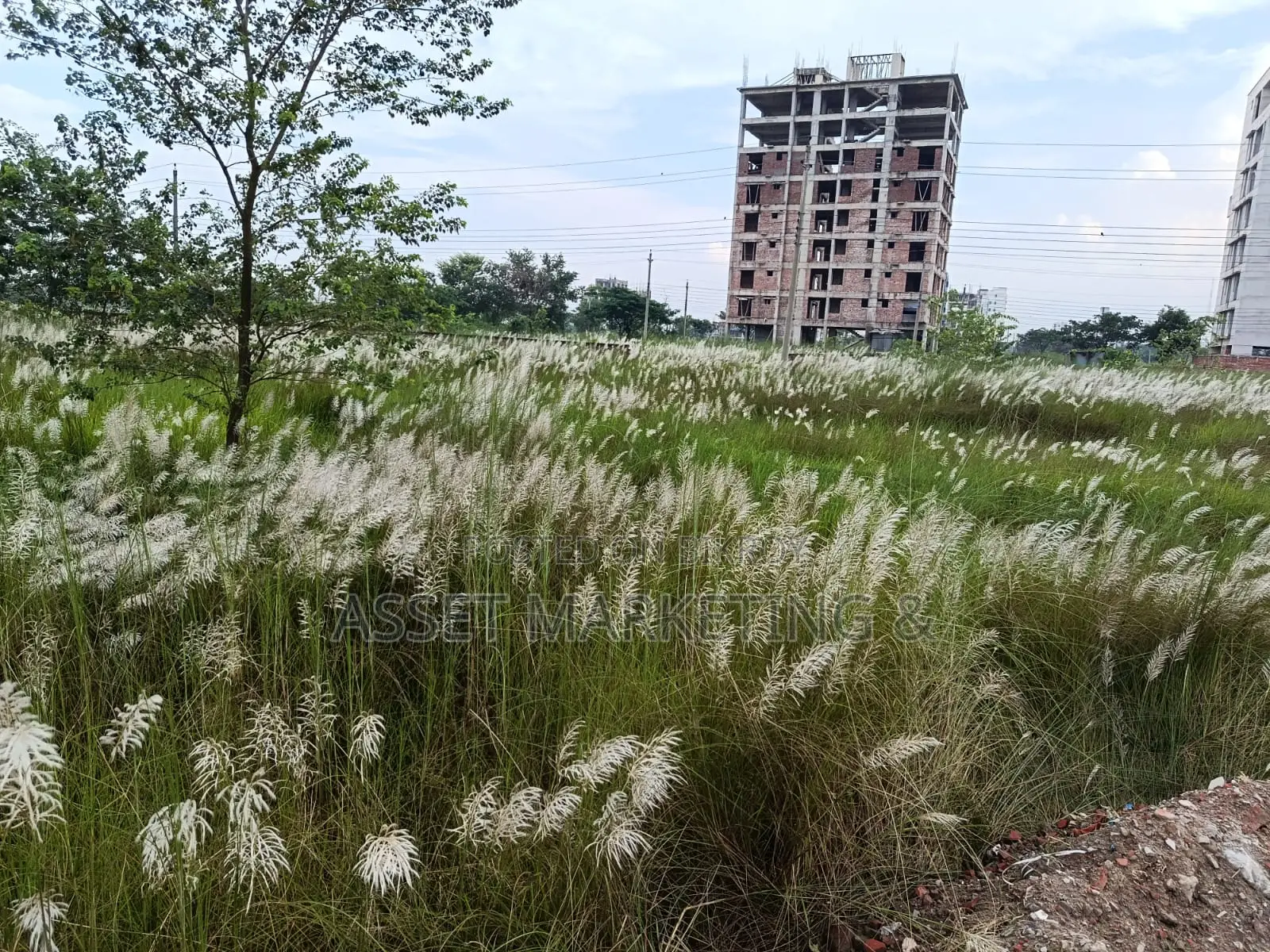 3-Katha Plot for Sale – Bashundhara L Block in Basundhara