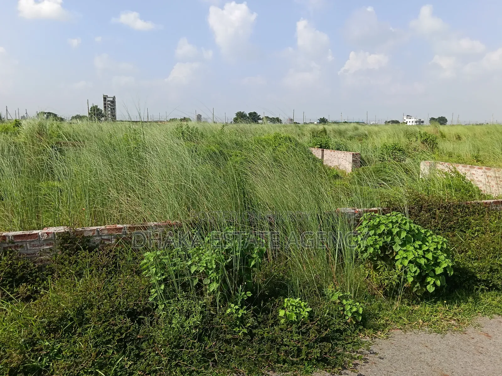 Block-M, North Face 5 Katha Plot Sale in Basundhara