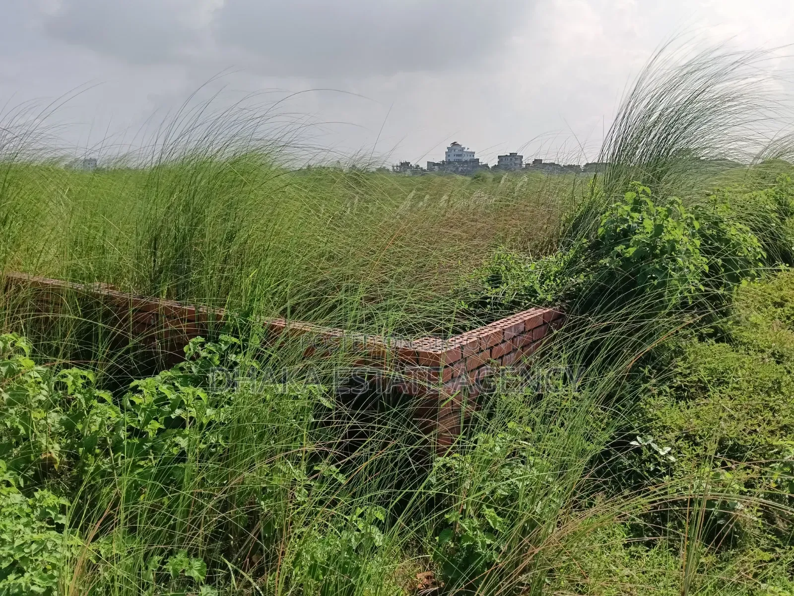 Bashundhara Block-L, South Face 5 Katha Plot Sale in Basundhara