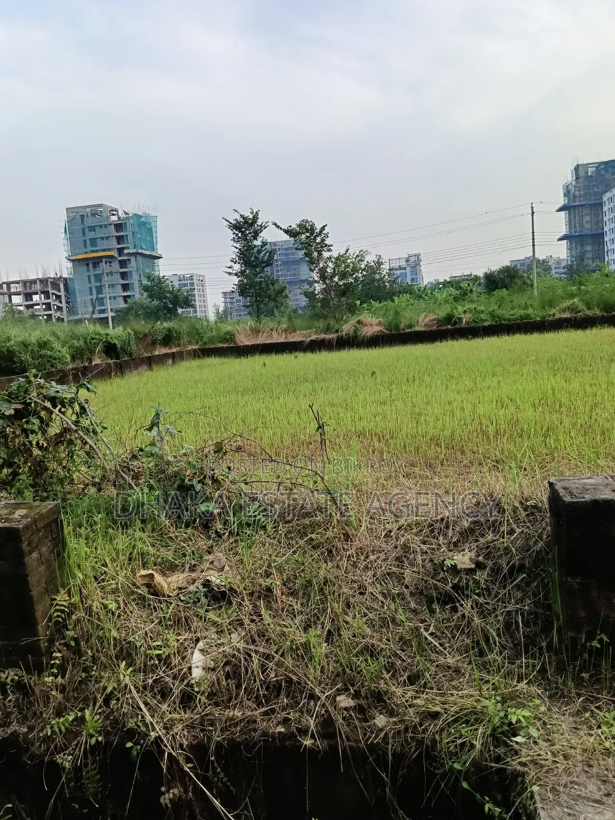 Bashundhara Block-N, South Face 5 Katha Plot Sale in Basundhara