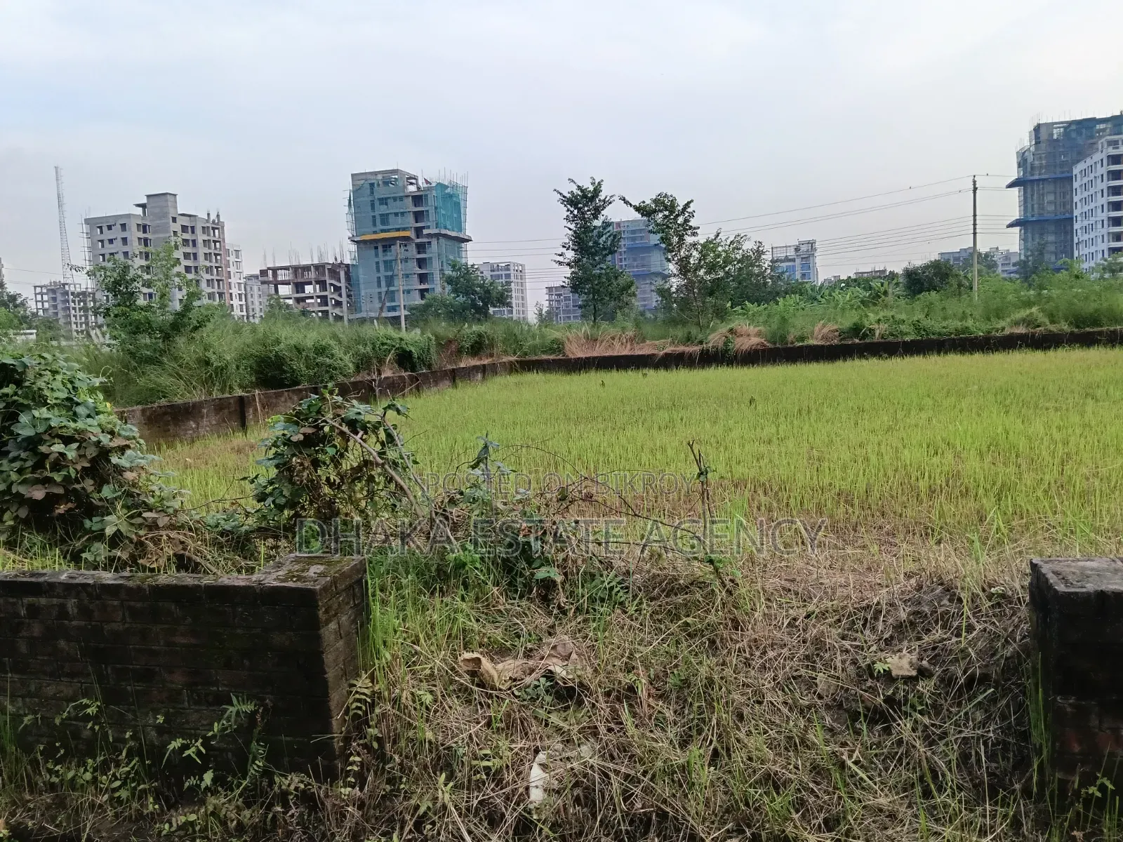 Bashundhara Block-N, South Face 5 Katha Plot Sale in Basundhara
