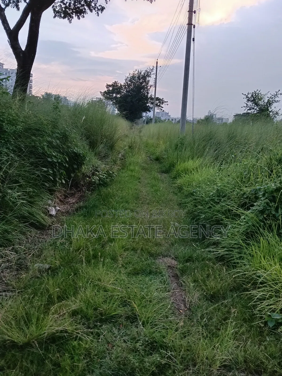 Block-N, South Face 3 Katha Plot Sale in Basundhara