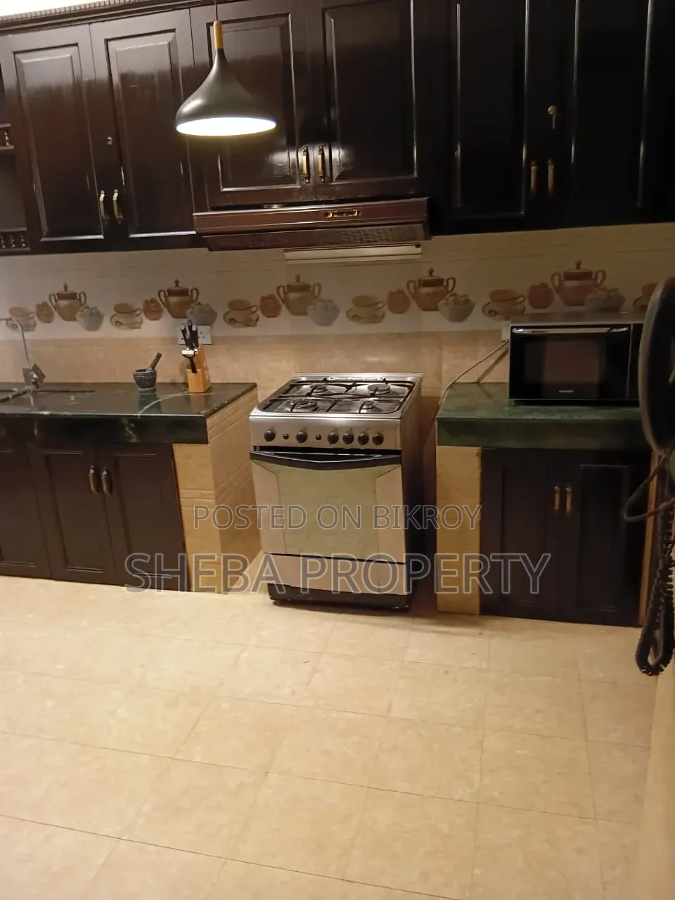 Furnished 5bdrm Apartment in Gulshan for rent in Gulshan