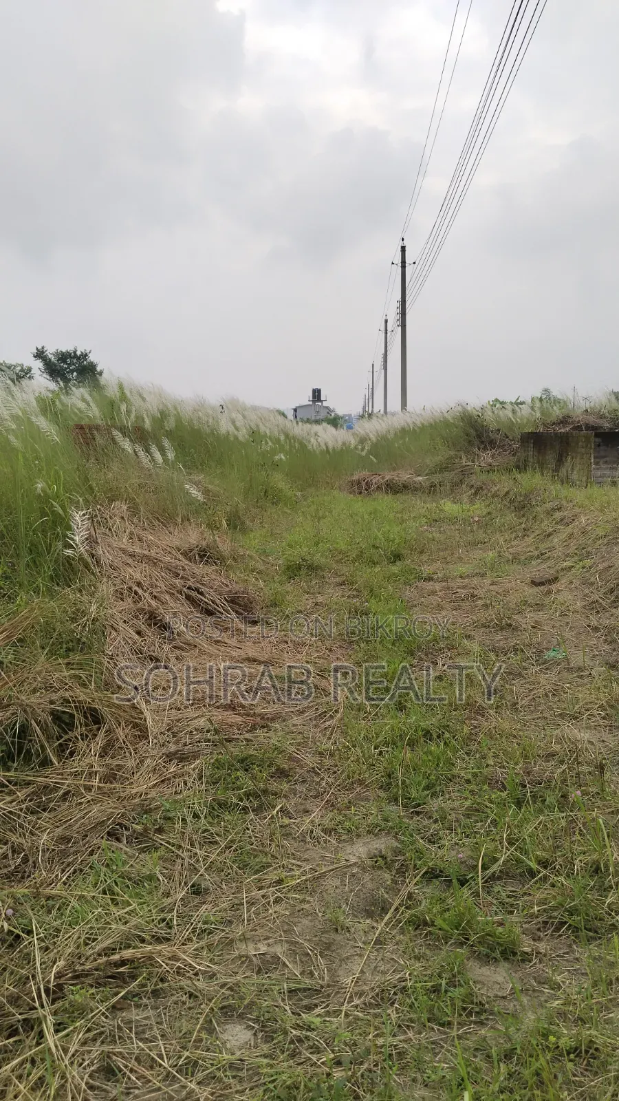 4 Katha NF Basundhara,P-Block in Basundhara