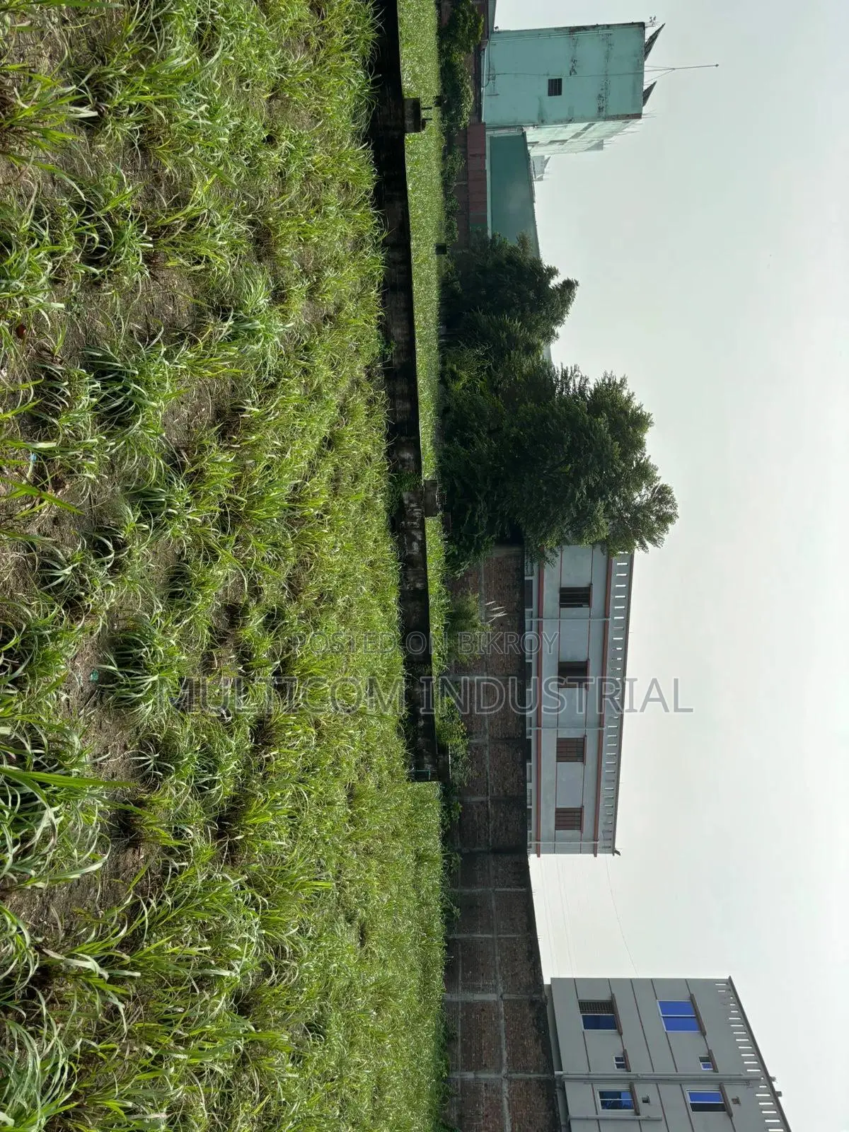  60,000 SQFT Under Construction Still Shed at Rupshi, DHK CTG-Syl HW in Rupganj