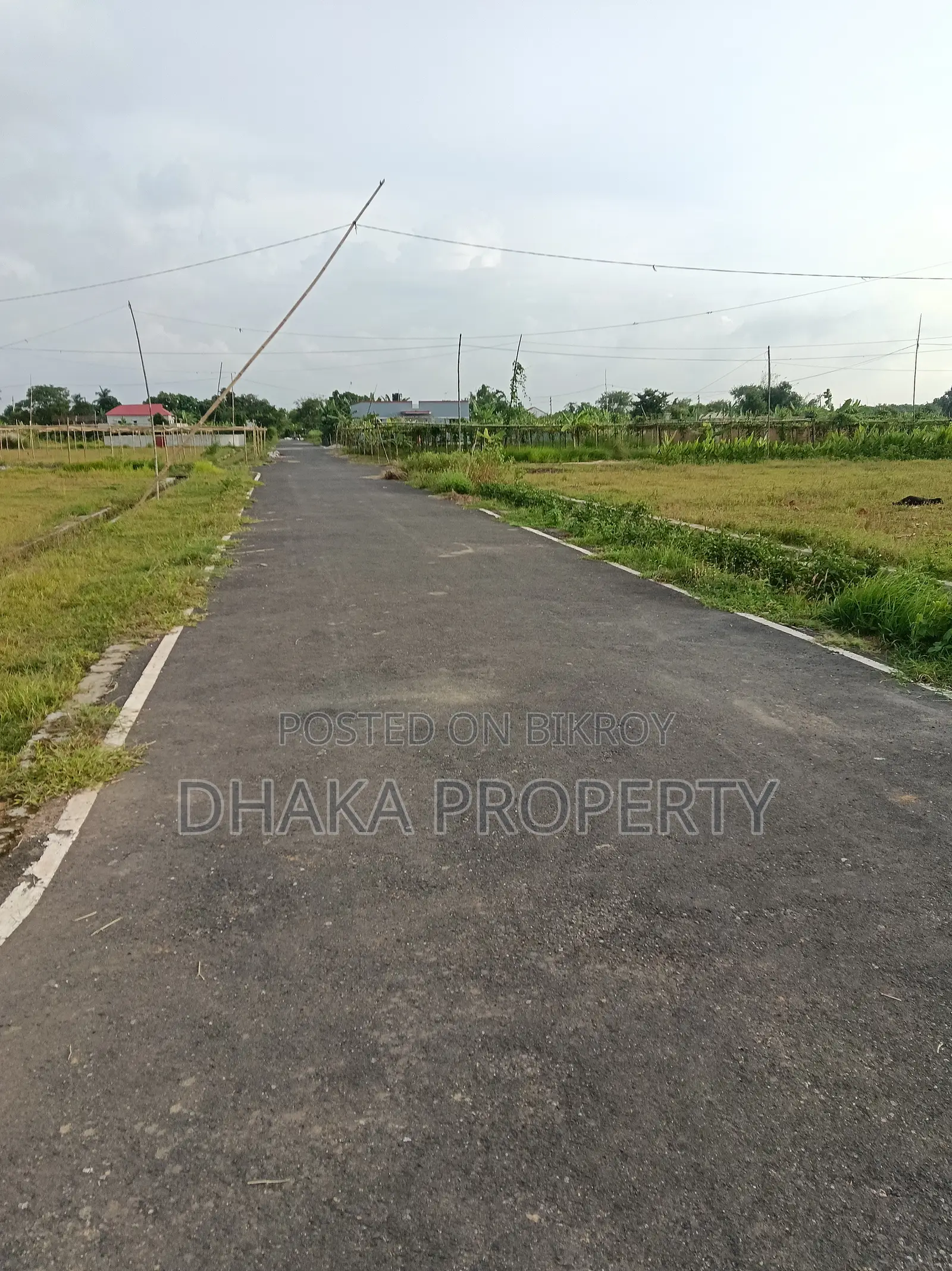 Sector-24 South Face 5 Katha Land Near Forest in Purbachal