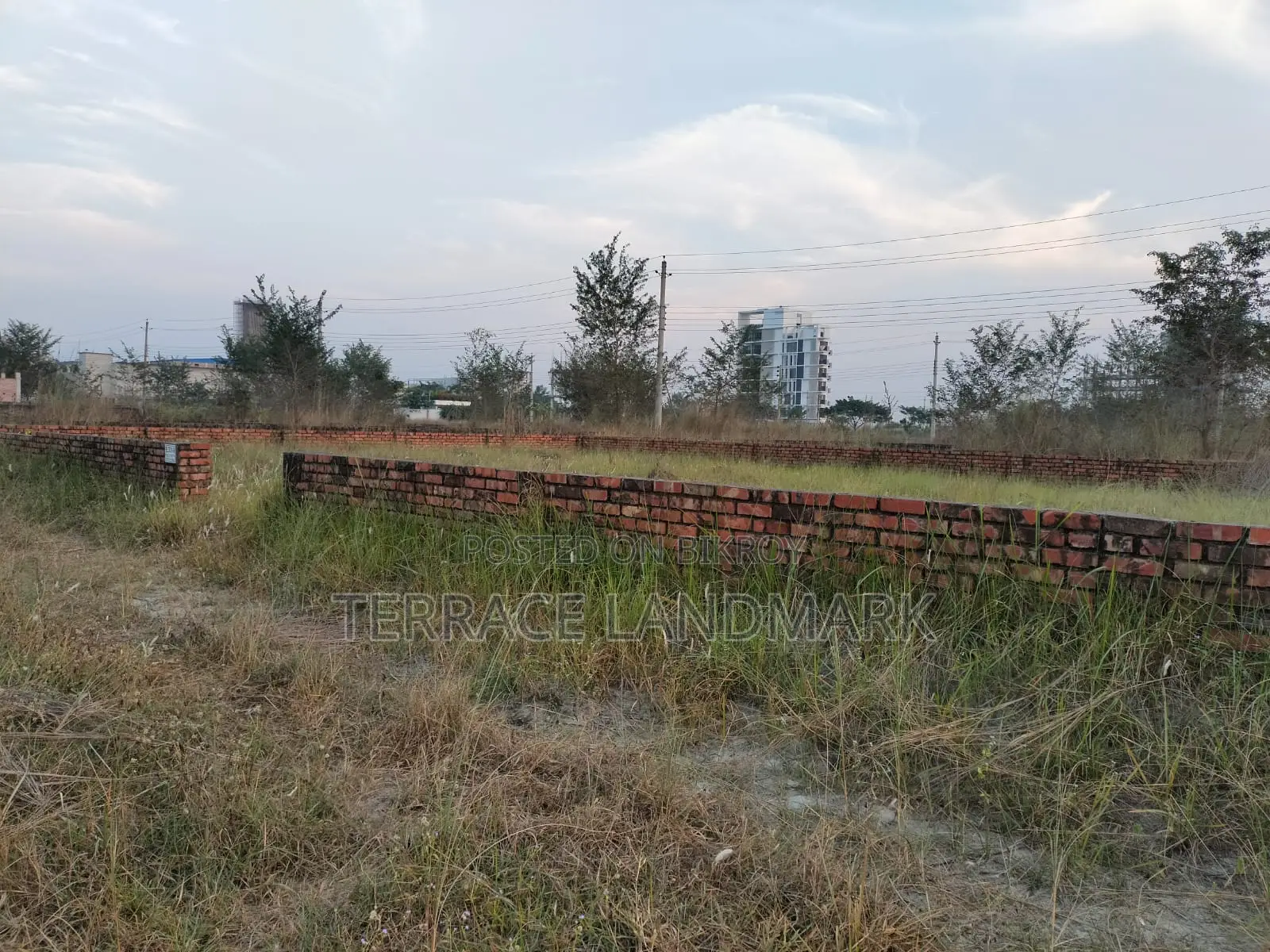 5 Katha Plot in M Block South Face in Basundhara