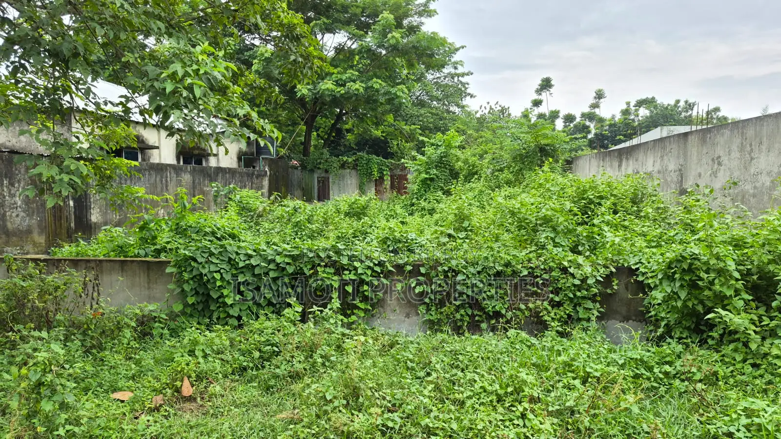 Field View East Face 3 Katha Purbachal Sec 15 in Purbachal