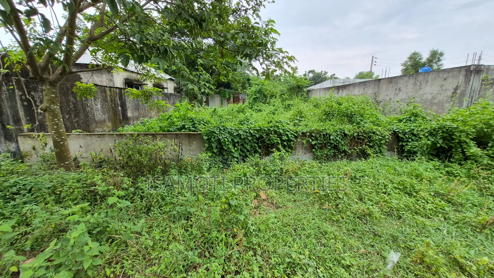 Field View East Face 3 Katha Purbachal Sec 15 in Purbachal