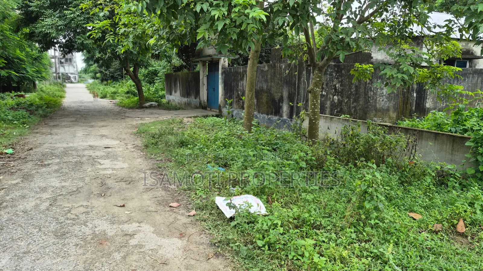 Field View East Face 3 Katha Purbachal Sec 15 in Purbachal