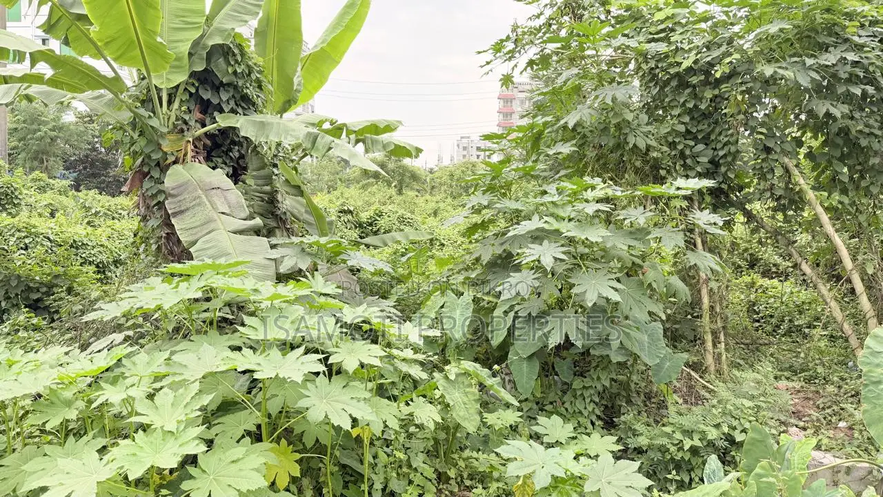 54 Feet Wide Road East Face 3 Katha Purbachal Sec 13 in Purbachal