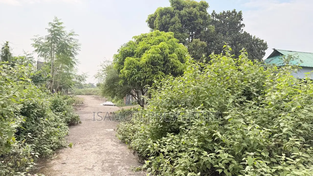 South Face 5 Katha Purbachal Sec 15 in Purbachal