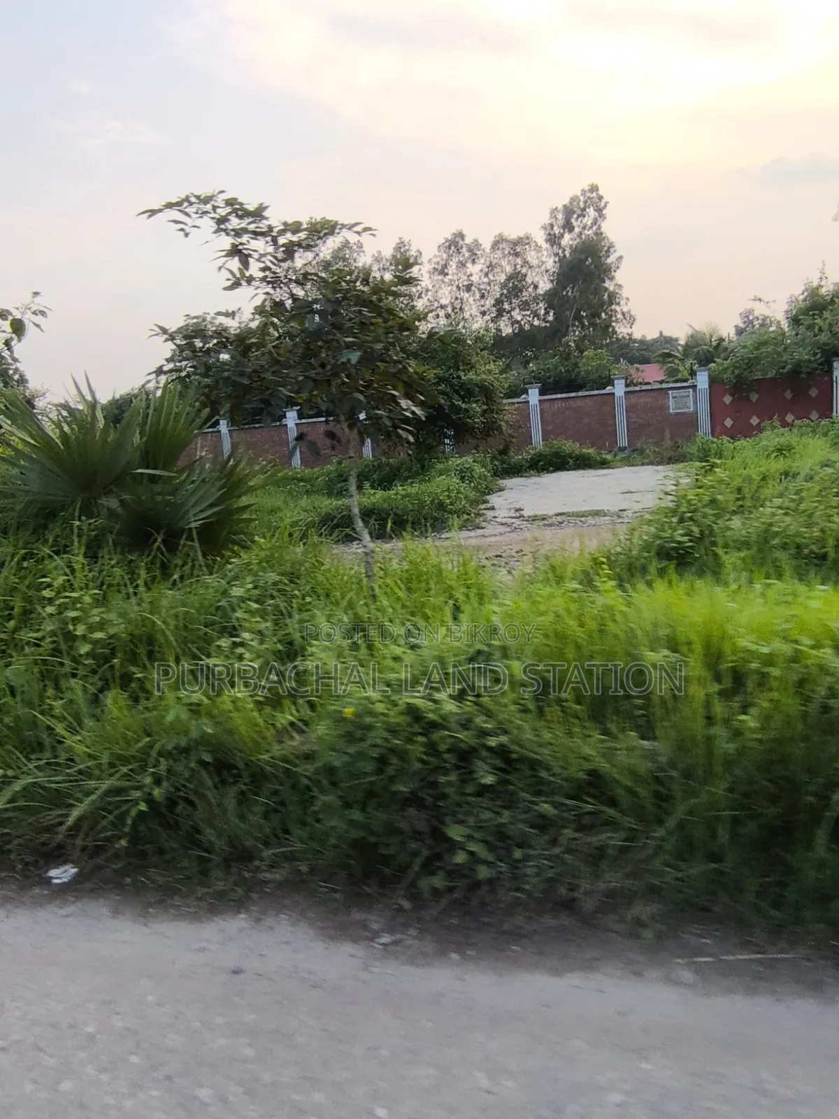 Sector:15,Prime Location 5 Katha Plot Sale in Purbachal in Purbachal