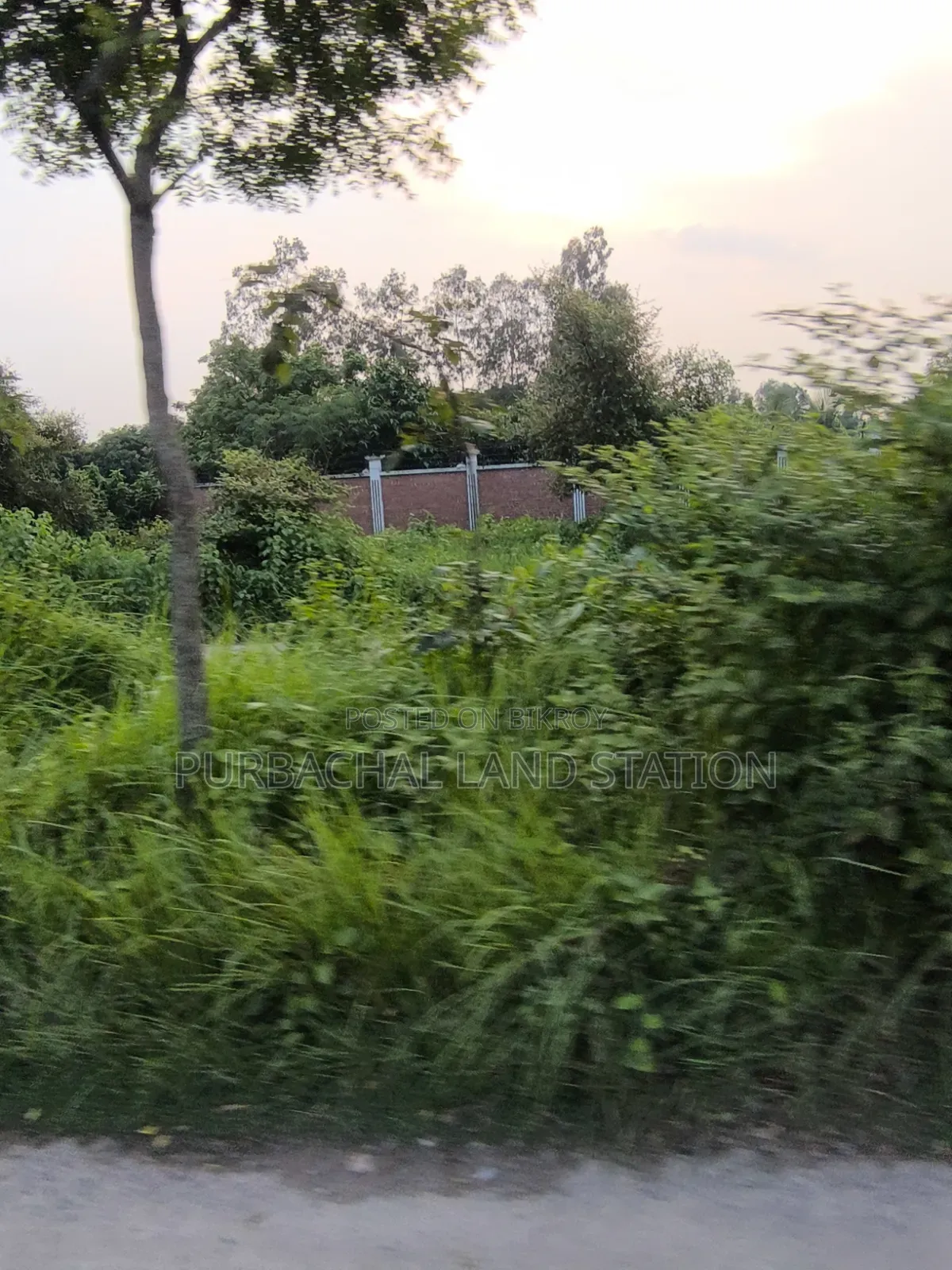 Sector:15,Prime Location 5 Katha Plot Sale in Purbachal in Purbachal