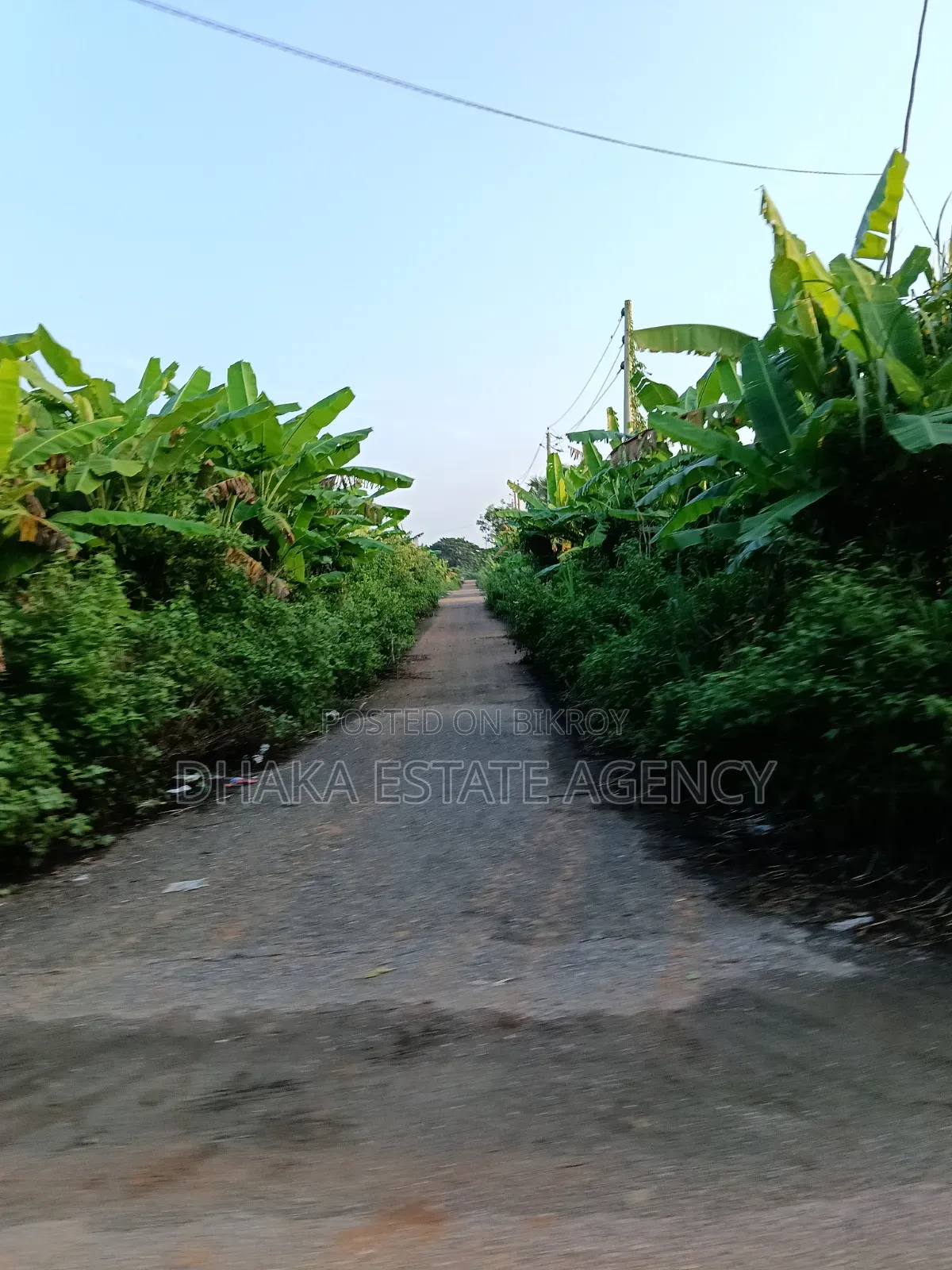 Block-P, South/East Corner 5 Katha Plot Sale in Basundhara