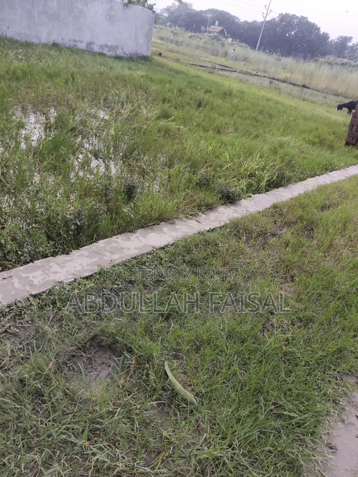 Land for Sale in Bashundhara City
