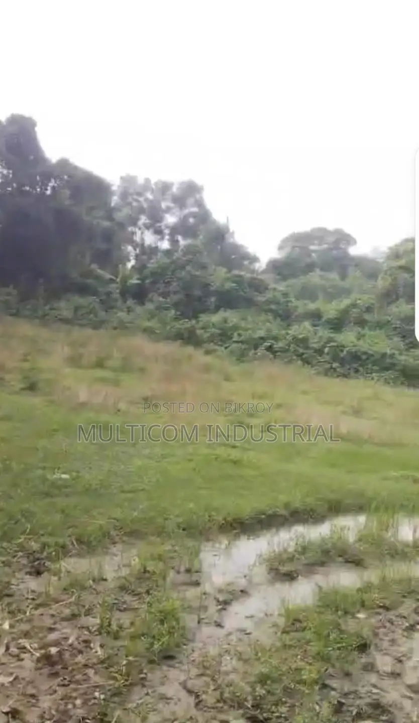 106 Bigah Agrobase Land at Satrapara, Trishal in Trishal