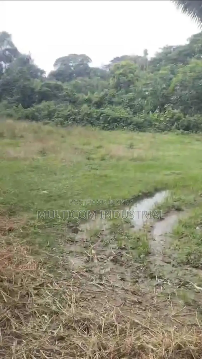 106 Bigah Agrobase Land at Satrapara, Trishal in Trishal