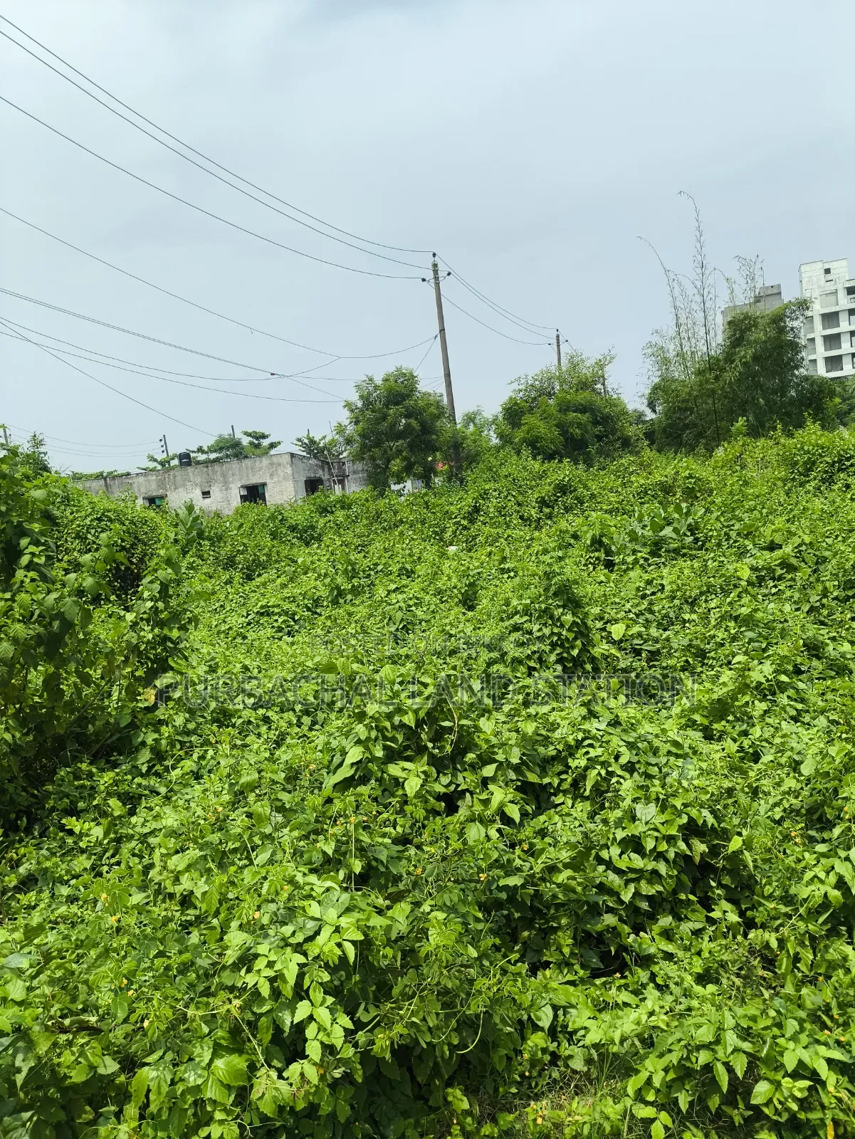Sector:16,Near IBA Clab 5 Katha Plot Urgent Sale in Purbachal in Purbachal