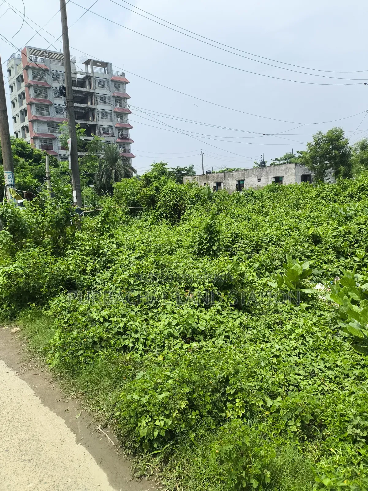 Sector:16,Near IBA Clab 5 Katha Plot Urgent Sale in Purbachal in Purbachal