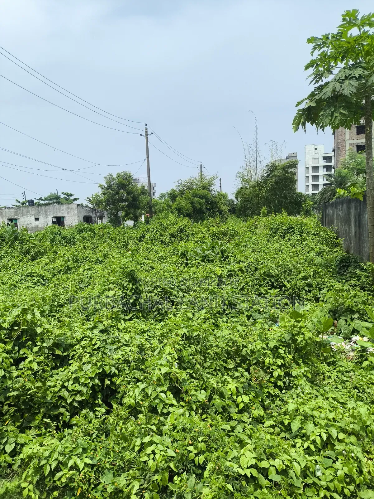 Sector:16,Near IBA Clab 5 Katha Plot Urgent Sale in Purbachal in Purbachal