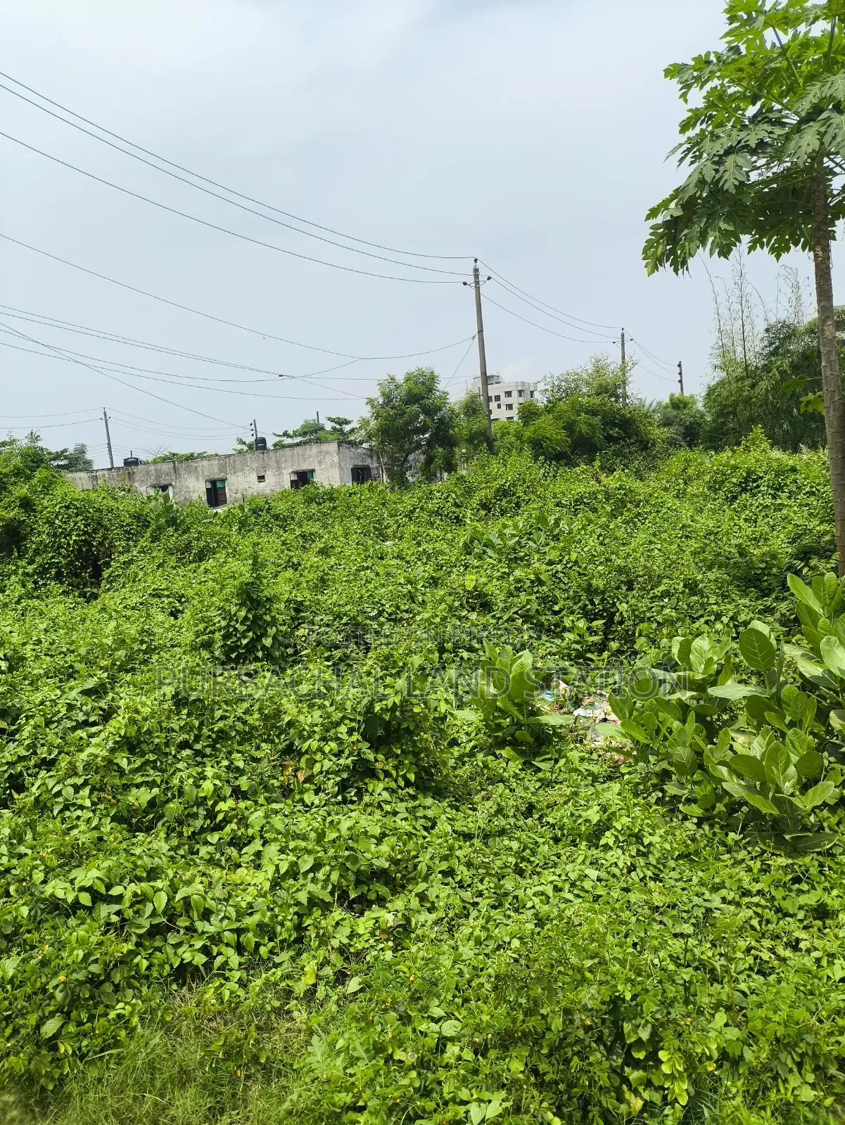 Sector:16,Near IBA Clab 5 Katha Plot Urgent Sale in Purbachal in Purbachal