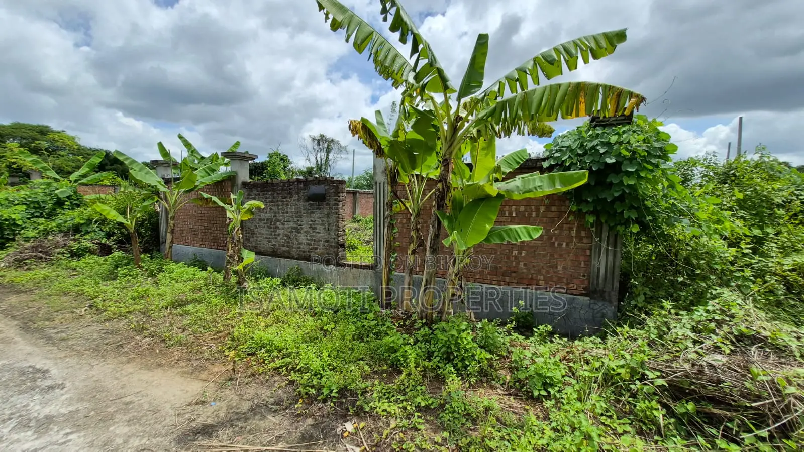 Allotted 3 Katha Plot for Sale Purbachal Sec 25 in Purbachal