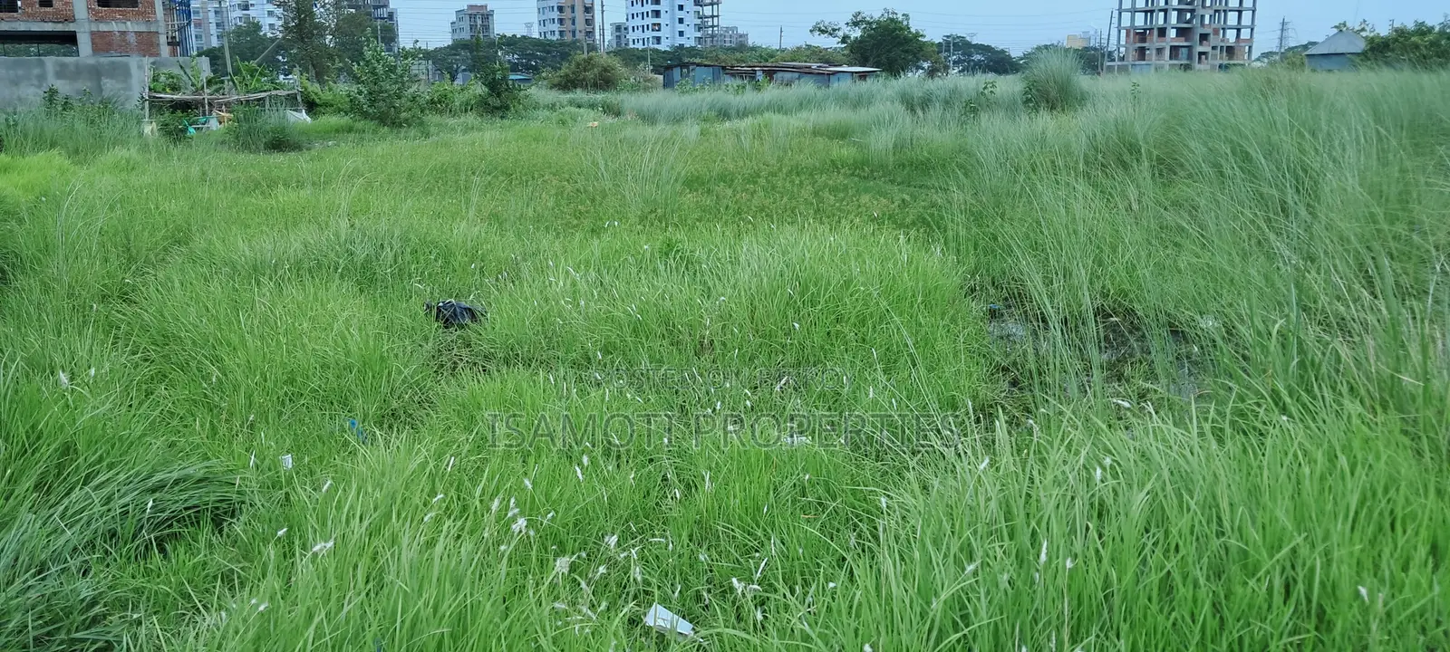 Field View Plus 60 Feet Avenue 5 Katha Plot Sale at Jalshiri in Jalshiri Abason