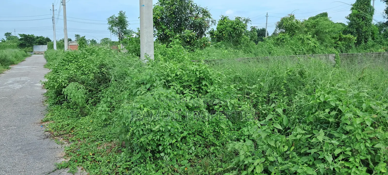 Field View Plus 60 Feet Avenue 5 Katha Plot Sale at Jalshiri in Jalshiri Abason