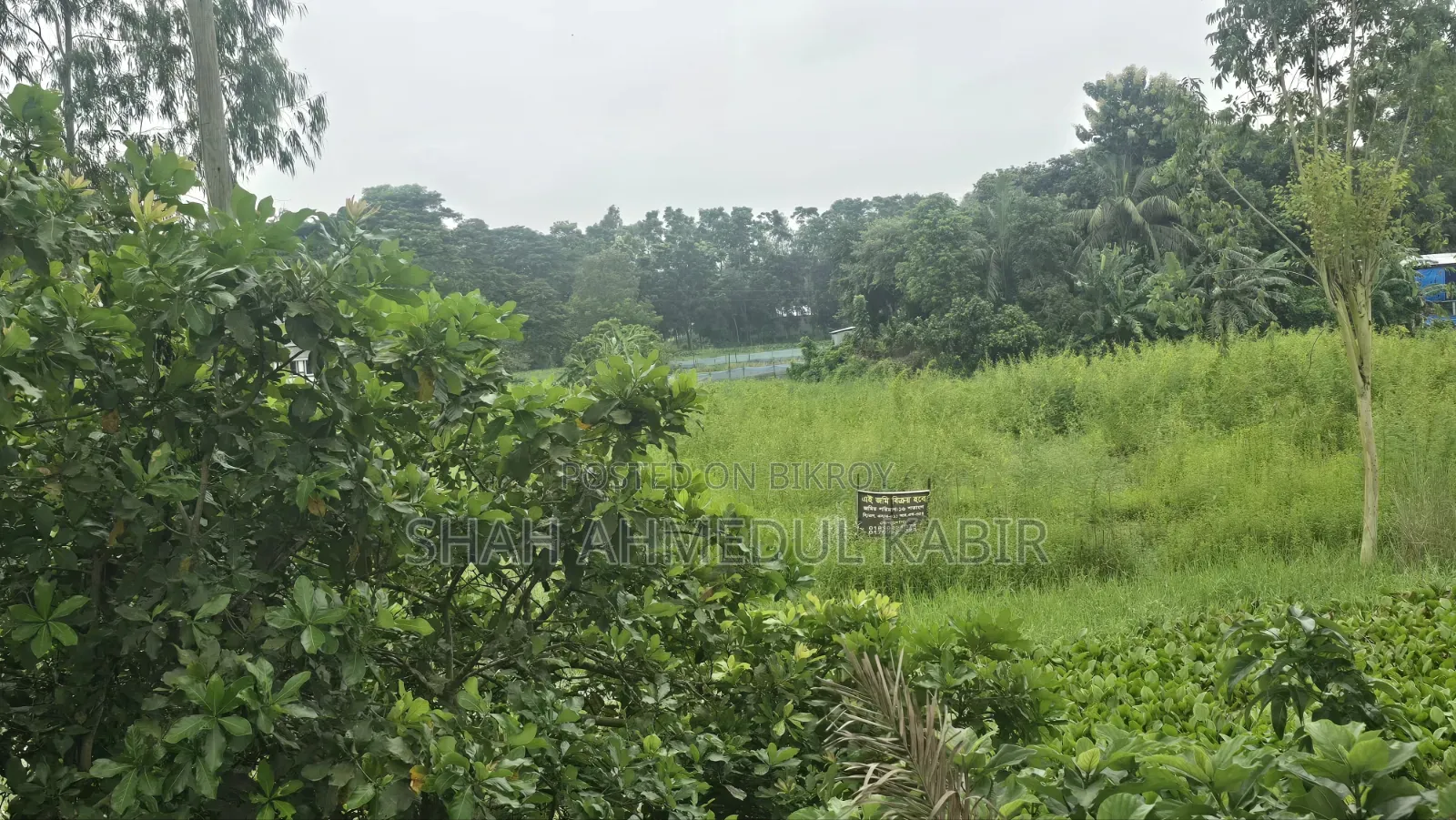 16 decimals of land in Munshiganj in Sreenagar