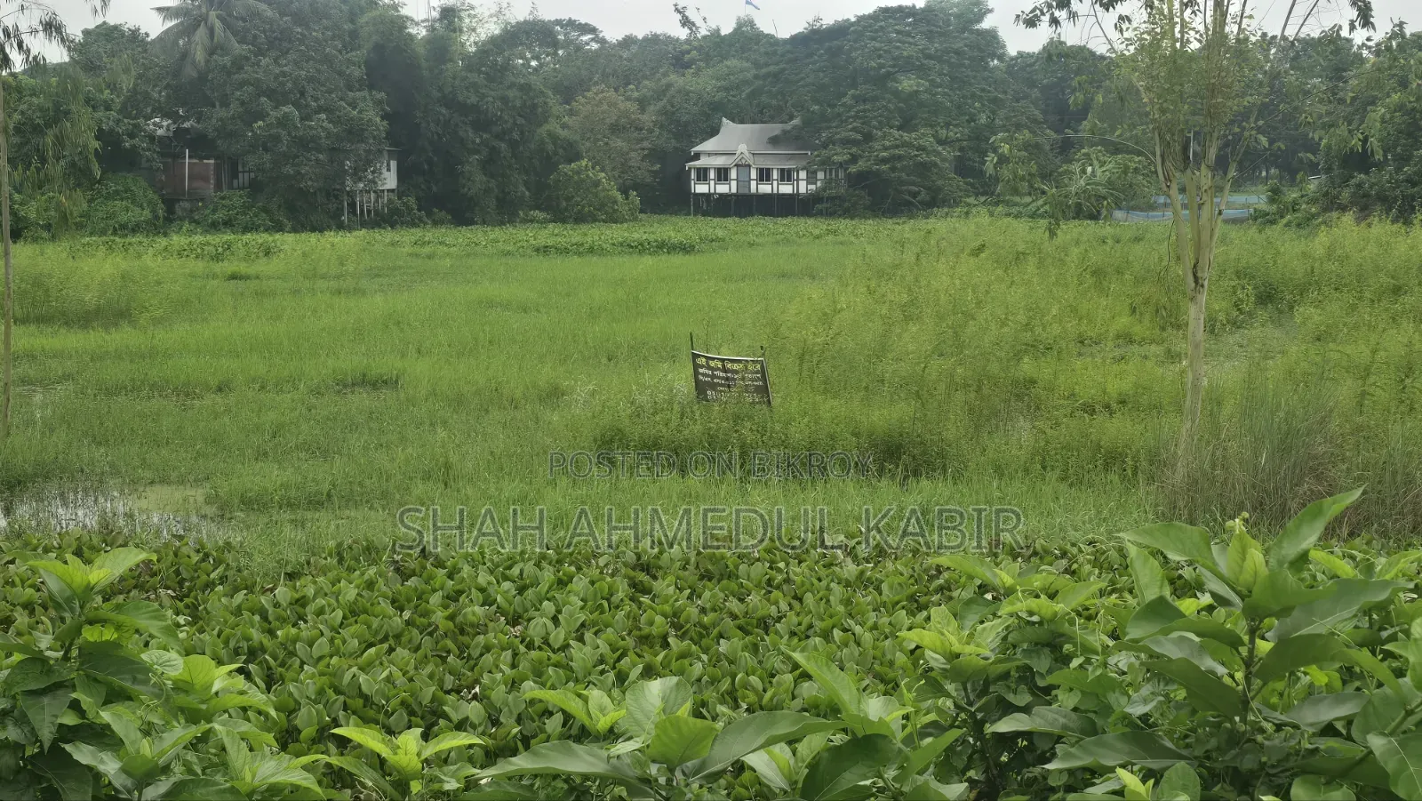16 decimals of land in Munshiganj in Sreenagar