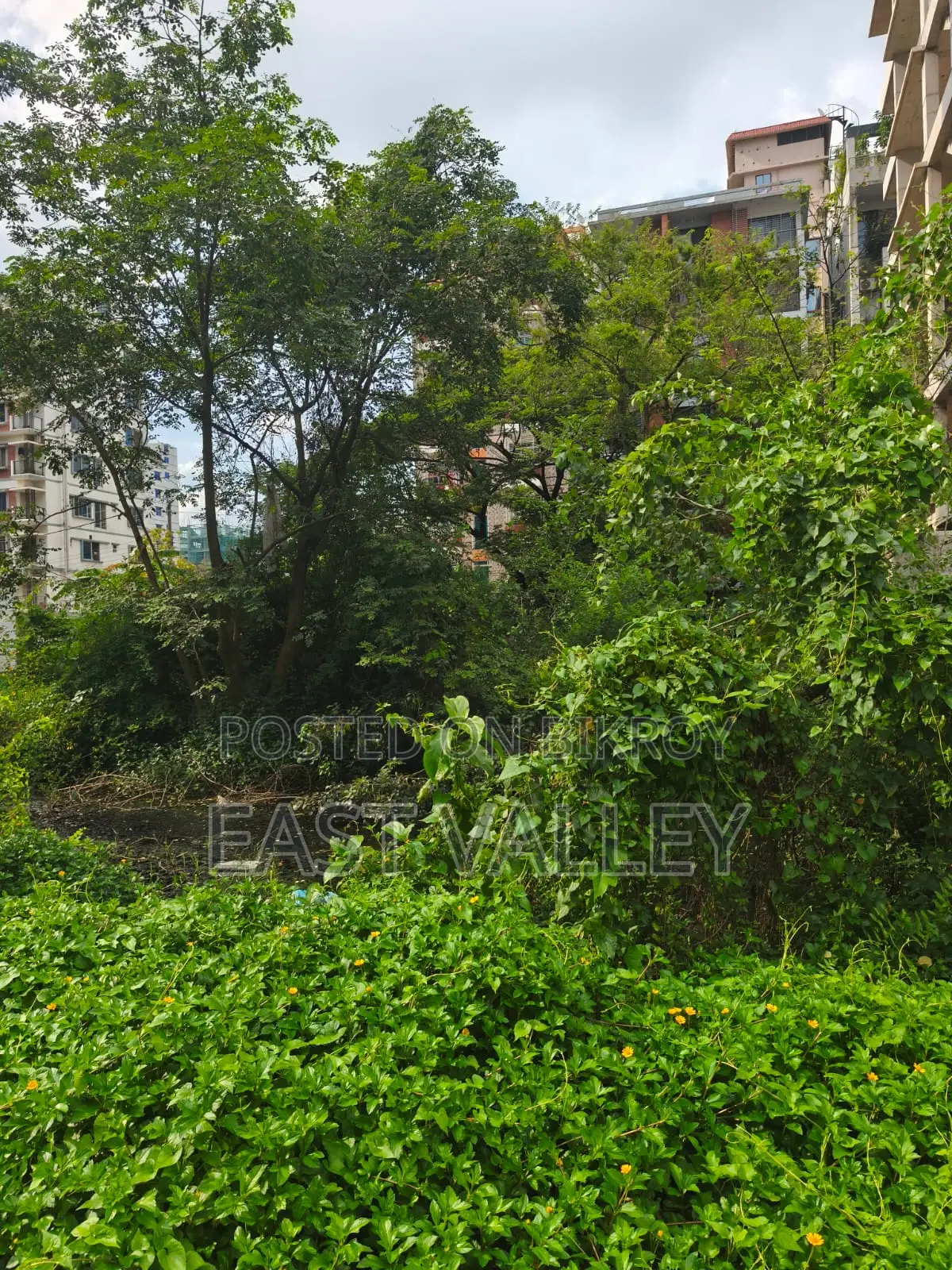 L Block 500 Serial 3+3=6 Katha Plot Sale in Basundhara
