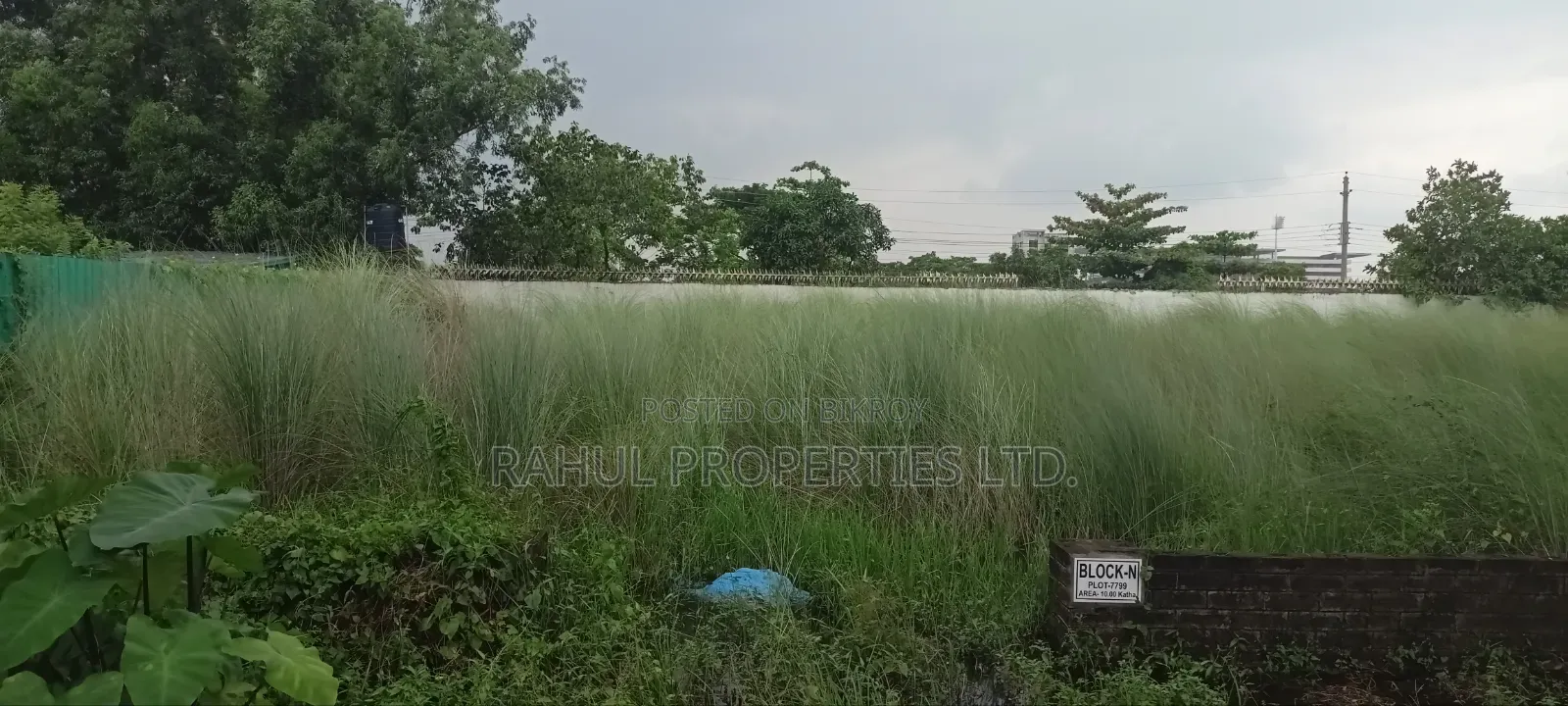P Block 4 Katha Land Sale Bashundhara in Basundhara