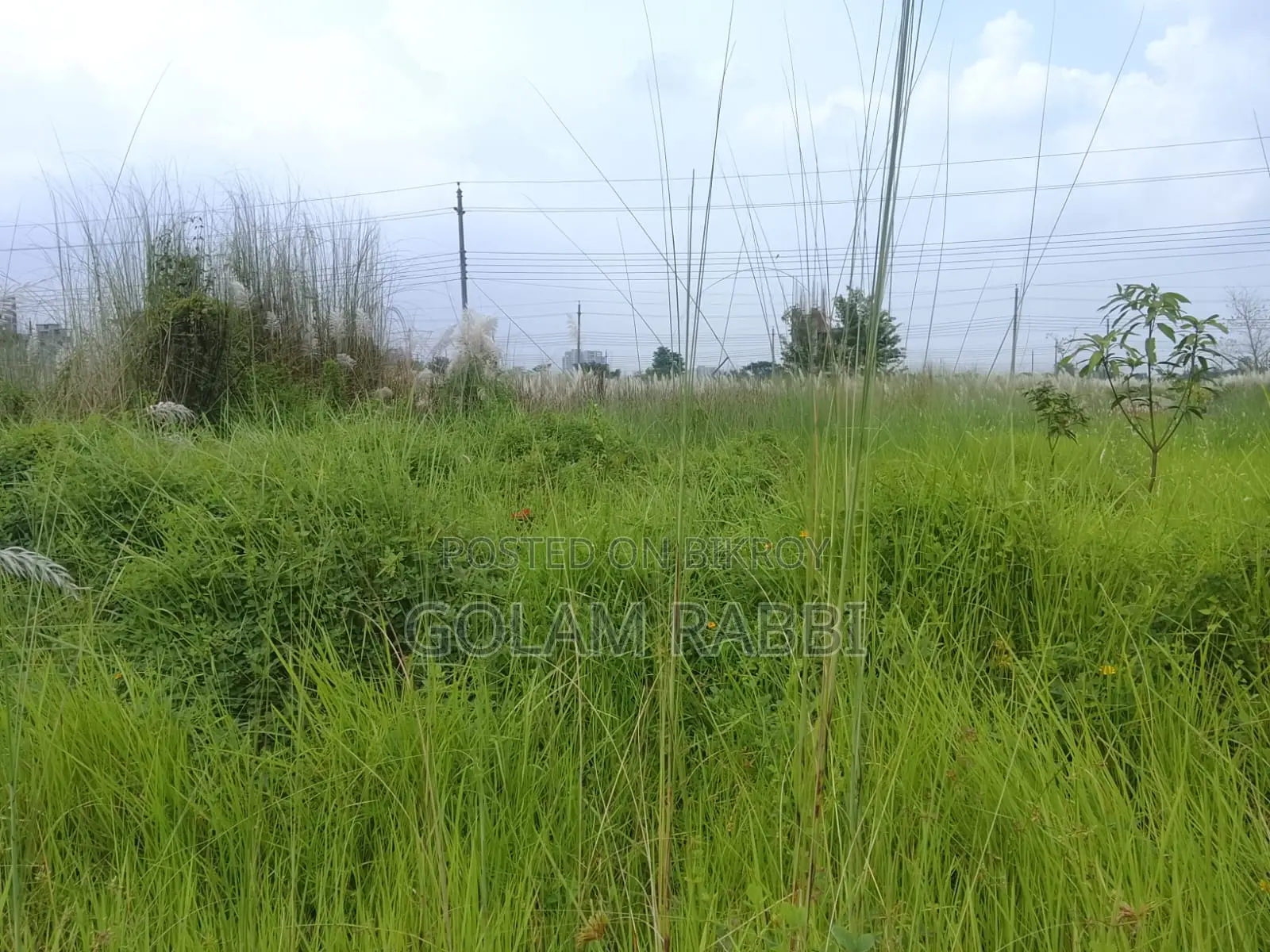 Land Sale Basundhara N Block 4 Katha South in Basundhara