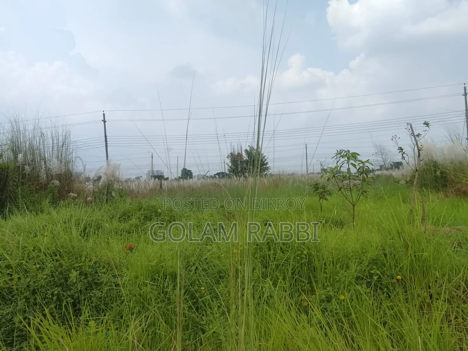 Land Sale Basundhara N Block 4 Katha South in Basundhara
