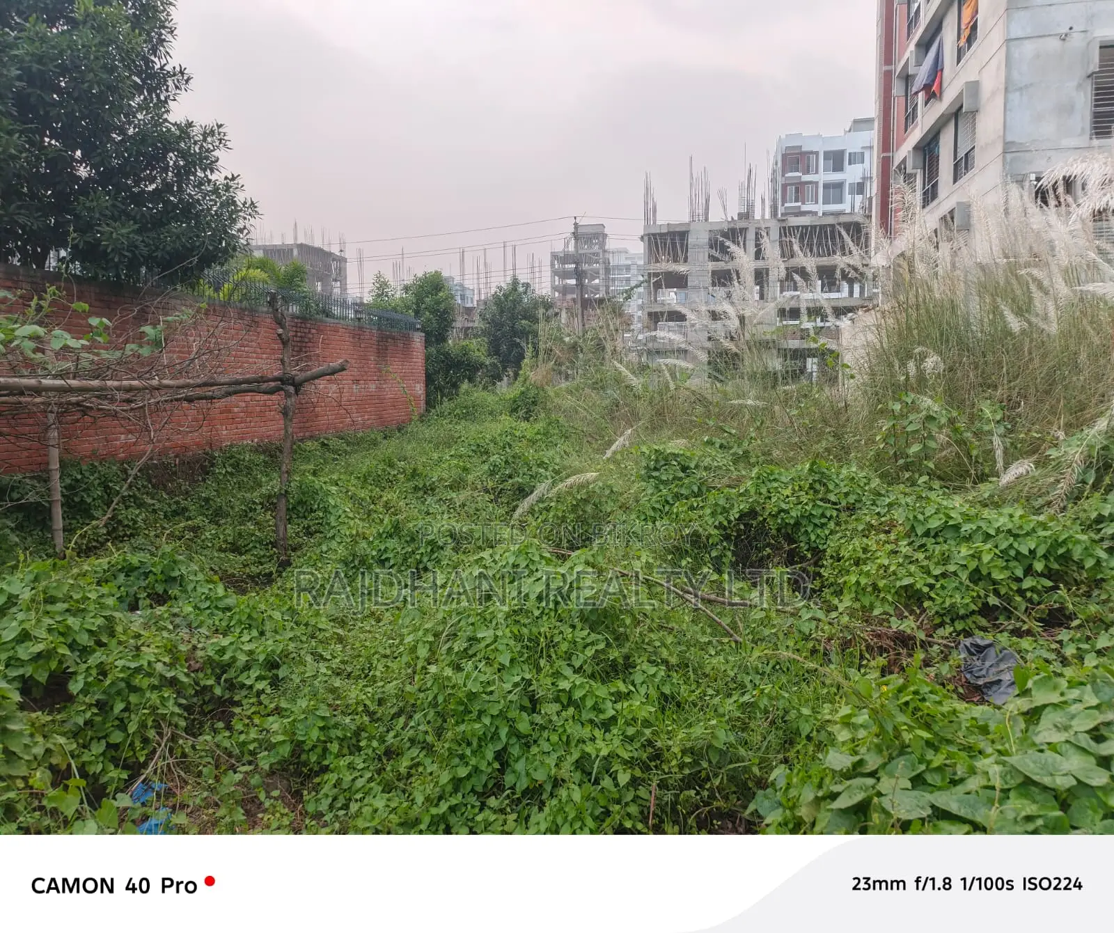 M Block, 3 Katha Plot for sale in Bashundhara, Baridhara. in Basundhara